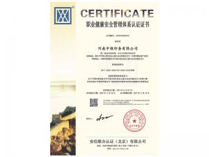 職業(yè)健康安全管理體系認證證書